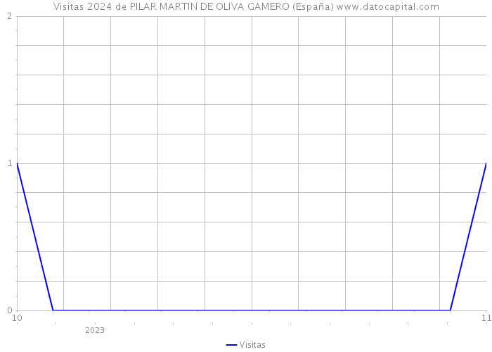 Visitas 2024 de PILAR MARTIN DE OLIVA GAMERO (España) 