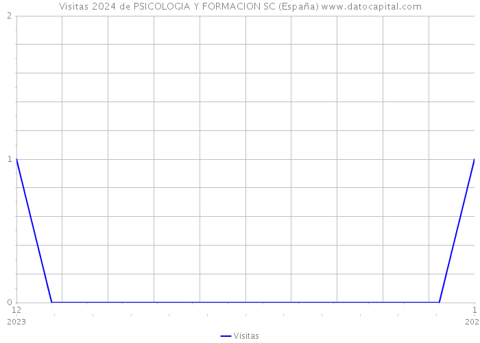 Visitas 2024 de PSICOLOGIA Y FORMACION SC (España) 