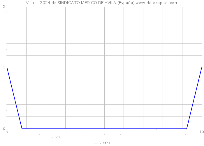 Visitas 2024 de SINDICATO MEDICO DE AVILA (España) 