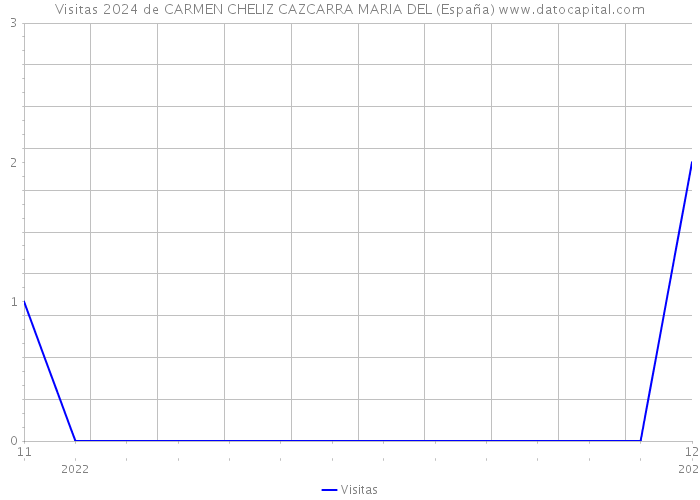 Visitas 2024 de CARMEN CHELIZ CAZCARRA MARIA DEL (España) 