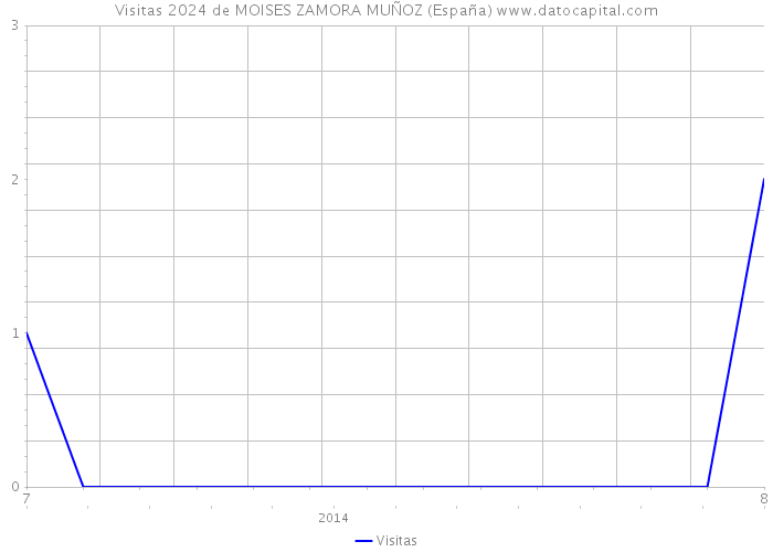 Visitas 2024 de MOISES ZAMORA MUÑOZ (España) 