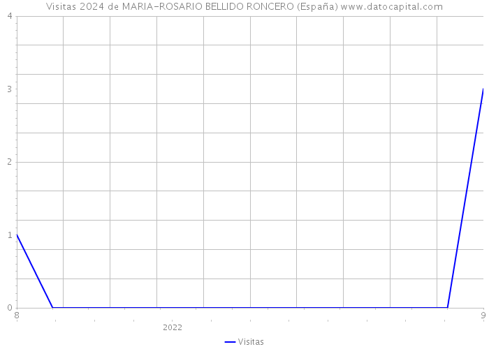 Visitas 2024 de MARIA-ROSARIO BELLIDO RONCERO (España) 