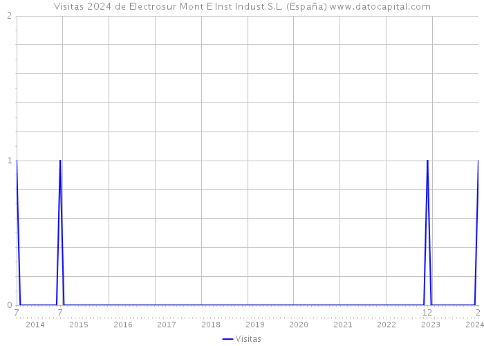 Visitas 2024 de Electrosur Mont E Inst Indust S.L. (España) 