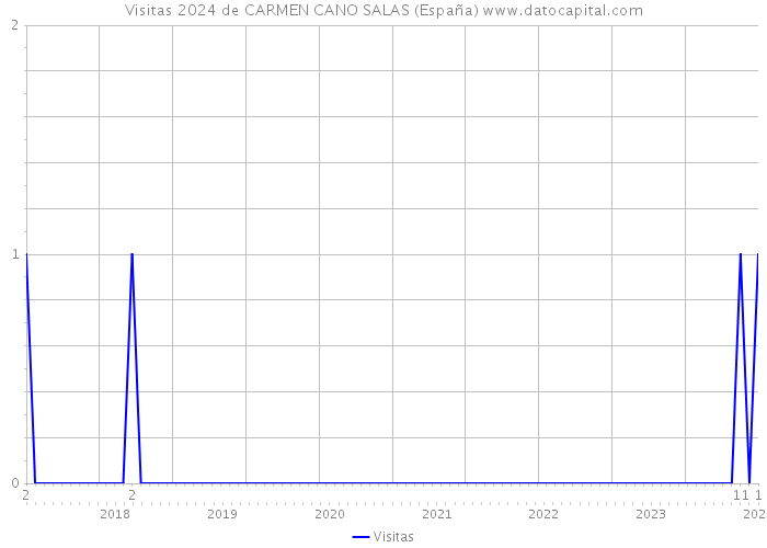 Visitas 2024 de CARMEN CANO SALAS (España) 