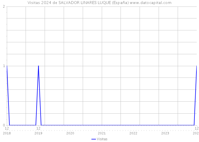 Visitas 2024 de SALVADOR LINARES LUQUE (España) 