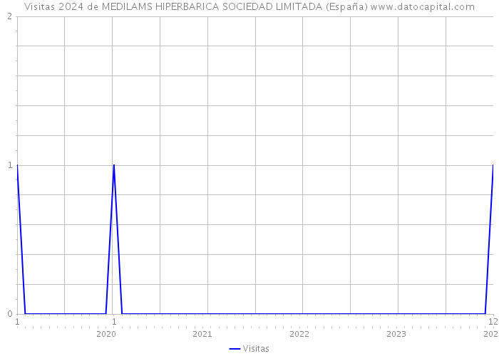Visitas 2024 de MEDILAMS HIPERBARICA SOCIEDAD LIMITADA (España) 