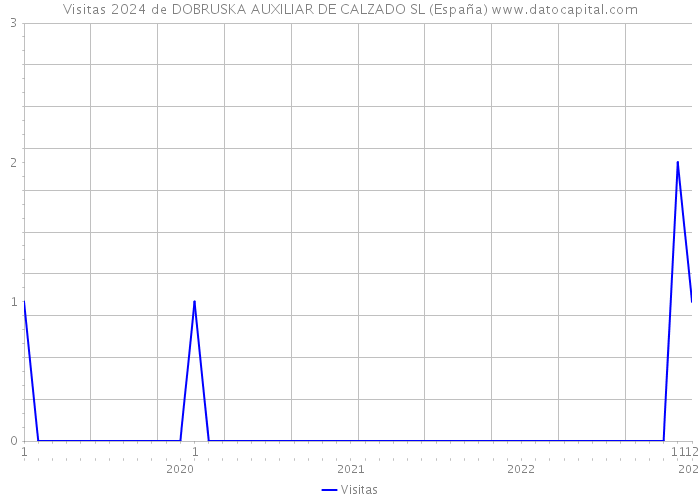 Visitas 2024 de DOBRUSKA AUXILIAR DE CALZADO SL (España) 