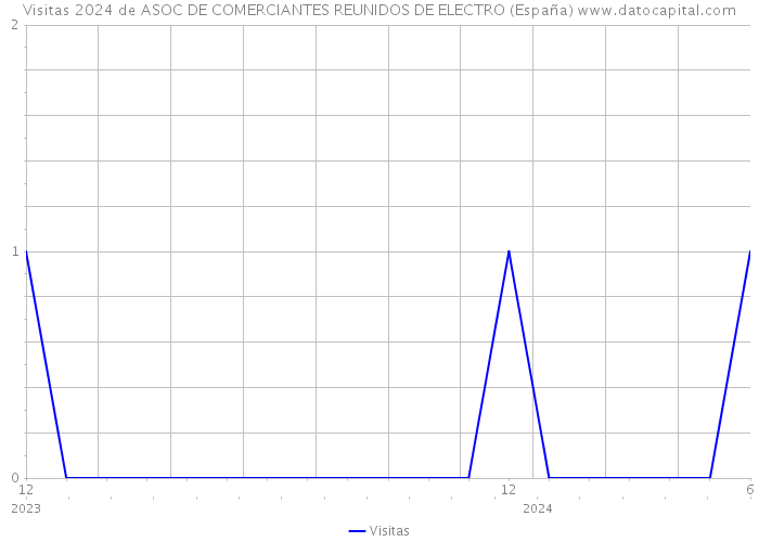 Visitas 2024 de ASOC DE COMERCIANTES REUNIDOS DE ELECTRO (España) 