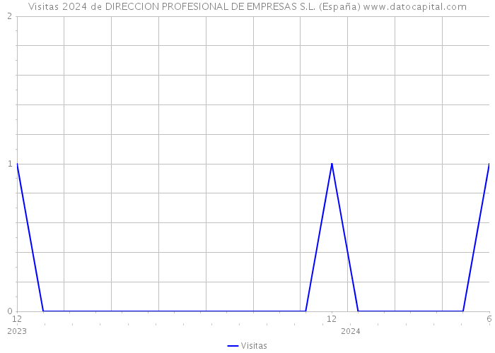 Visitas 2024 de DIRECCION PROFESIONAL DE EMPRESAS S.L. (España) 