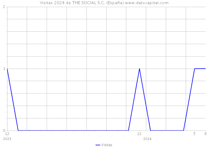 Visitas 2024 de THE SOCIAL S.C. (España) 