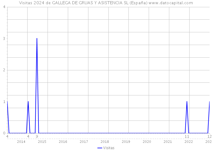 Visitas 2024 de GALLEGA DE GRUAS Y ASISTENCIA SL (España) 