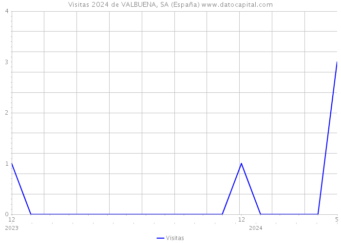 Visitas 2024 de VALBUENA, SA (España) 