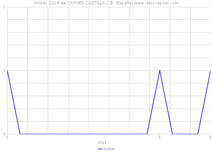 Visitas 2024 de CARNES CASTILLA C.B. (España) 