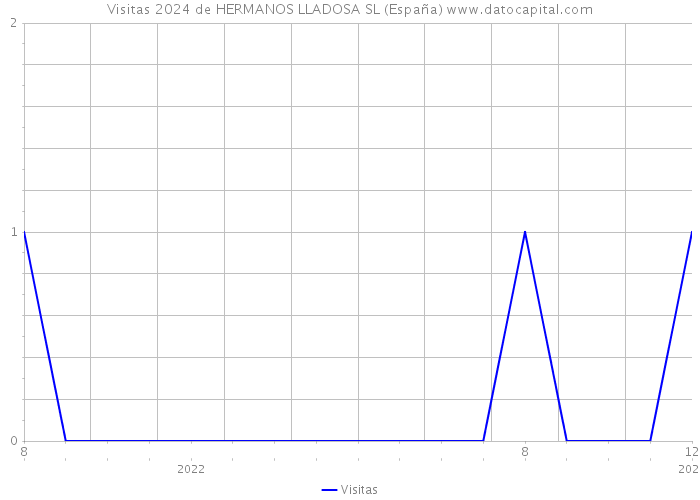 Visitas 2024 de HERMANOS LLADOSA SL (España) 