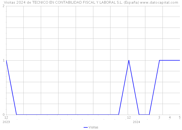 Visitas 2024 de TECNICO EN CONTABILIDAD FISCAL Y LABORAL S.L. (España) 
