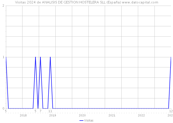 Visitas 2024 de ANALISIS DE GESTION HOSTELERA SLL (España) 