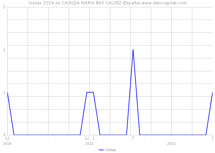 Visitas 2024 de CASILDA MARIA BAS GALVEZ (España) 