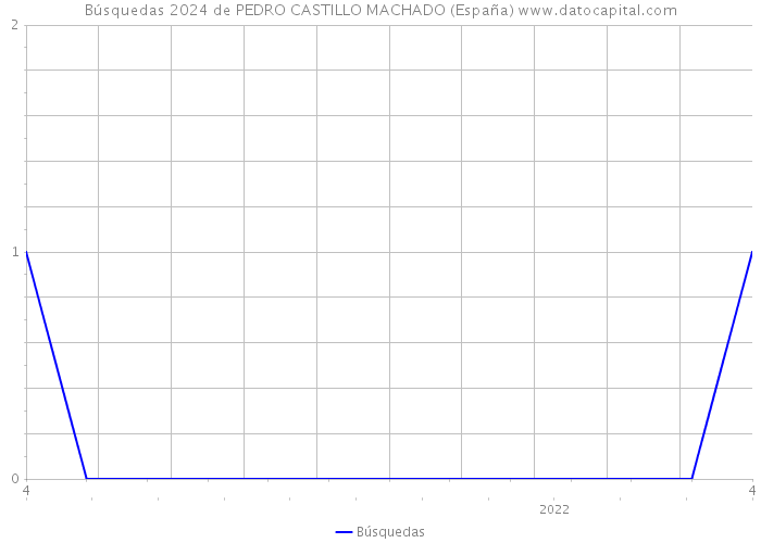 Búsquedas 2024 de PEDRO CASTILLO MACHADO (España) 