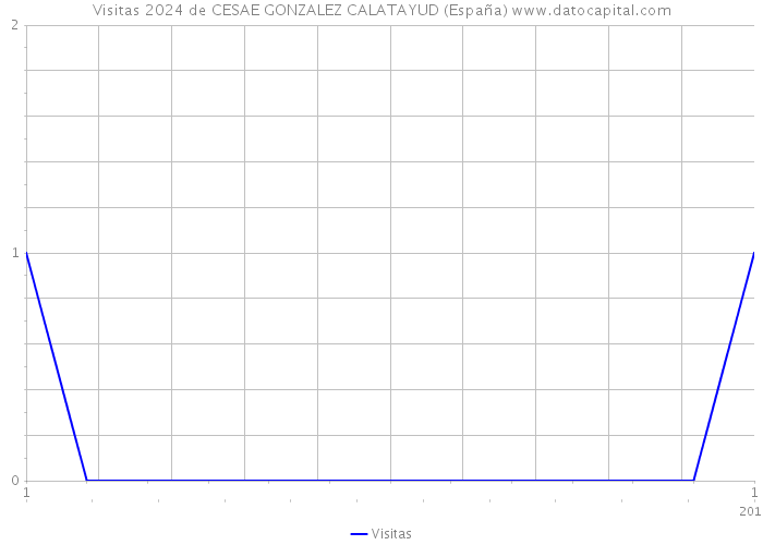 Visitas 2024 de CESAE GONZALEZ CALATAYUD (España) 