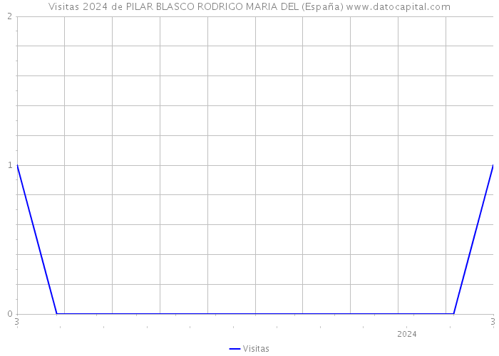 Visitas 2024 de PILAR BLASCO RODRIGO MARIA DEL (España) 