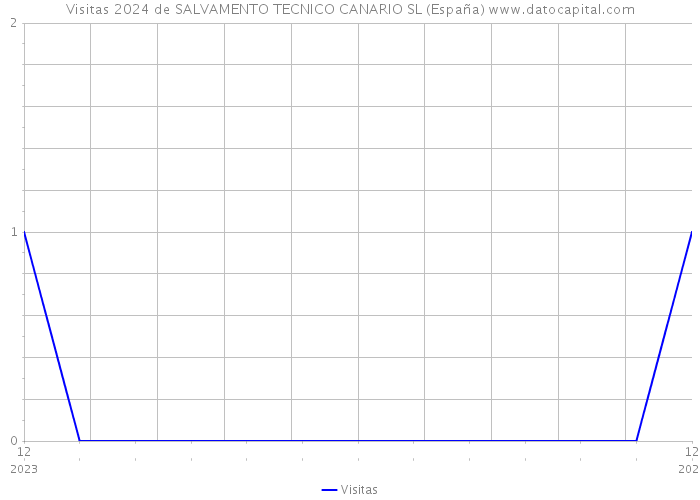 Visitas 2024 de SALVAMENTO TECNICO CANARIO SL (España) 