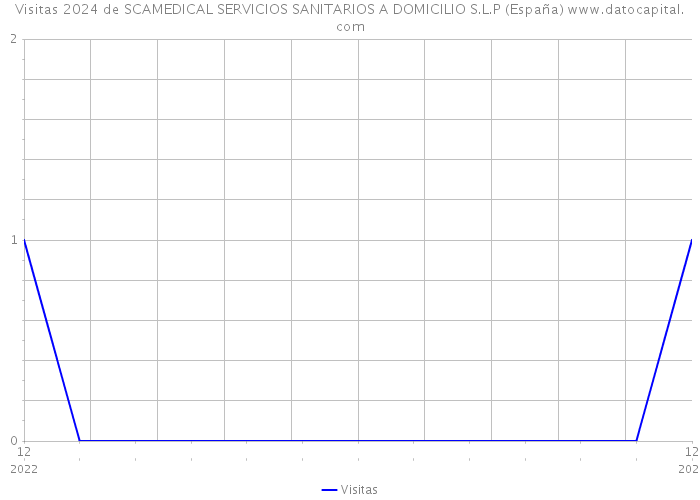 Visitas 2024 de SCAMEDICAL SERVICIOS SANITARIOS A DOMICILIO S.L.P (España) 