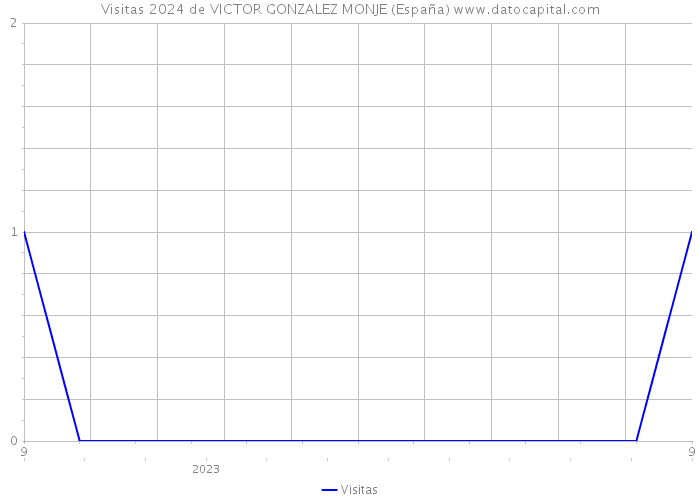 Visitas 2024 de VICTOR GONZALEZ MONJE (España) 