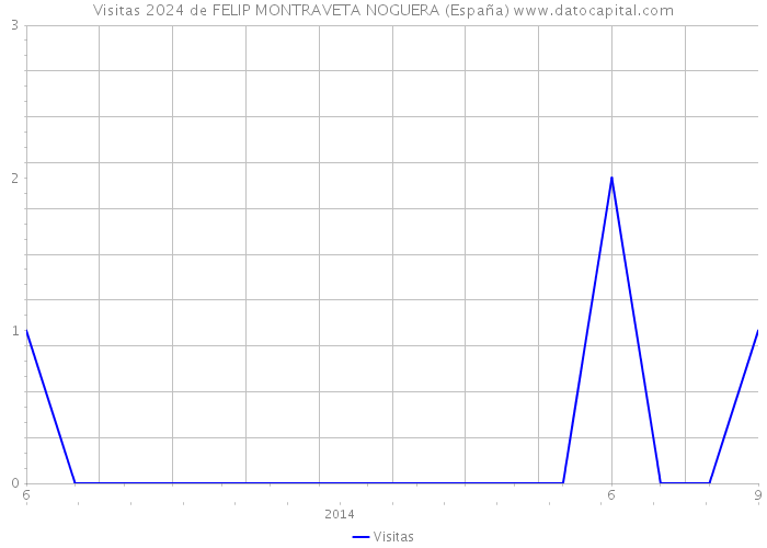 Visitas 2024 de FELIP MONTRAVETA NOGUERA (España) 