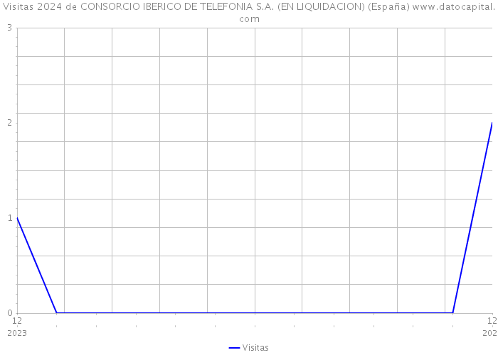 Visitas 2024 de CONSORCIO IBERICO DE TELEFONIA S.A. (EN LIQUIDACION) (España) 