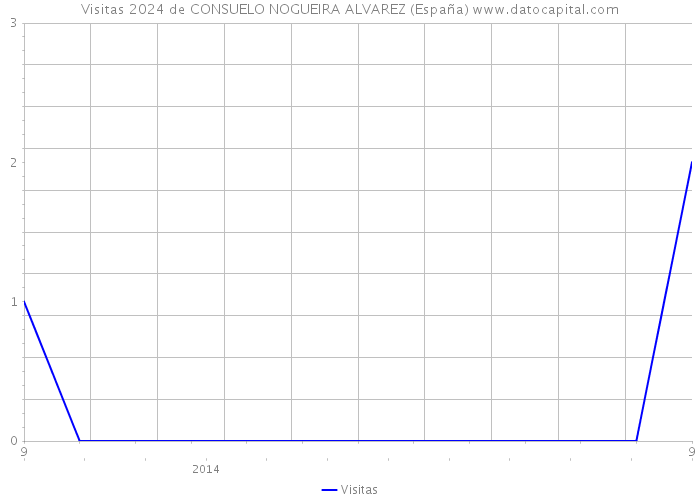 Visitas 2024 de CONSUELO NOGUEIRA ALVAREZ (España) 