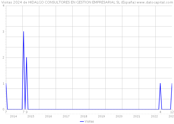 Visitas 2024 de HIDALGO CONSULTORES EN GESTION EMPRESARIAL SL (España) 