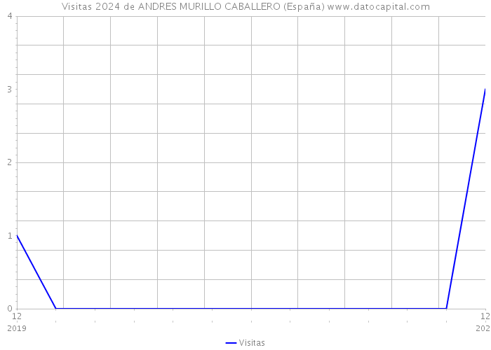 Visitas 2024 de ANDRES MURILLO CABALLERO (España) 