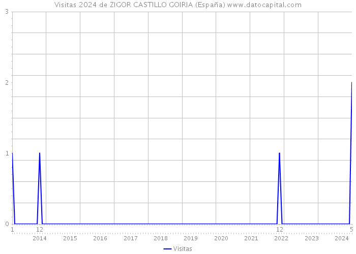 Visitas 2024 de ZIGOR CASTILLO GOIRIA (España) 