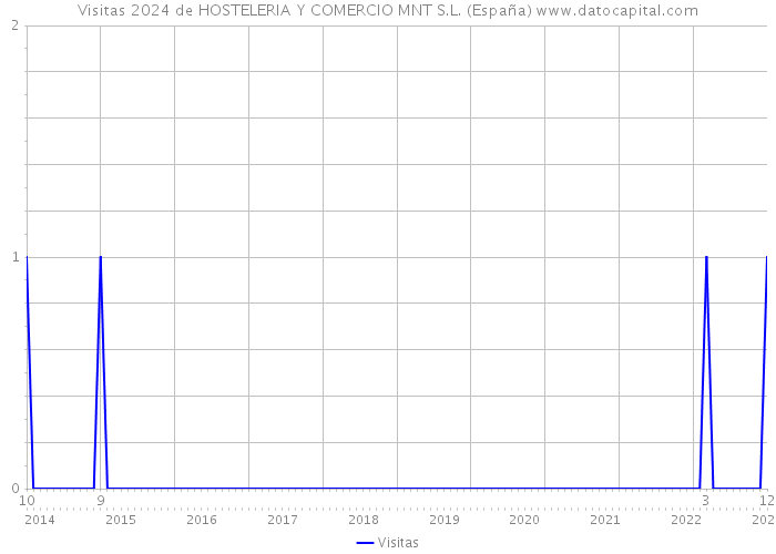 Visitas 2024 de HOSTELERIA Y COMERCIO MNT S.L. (España) 