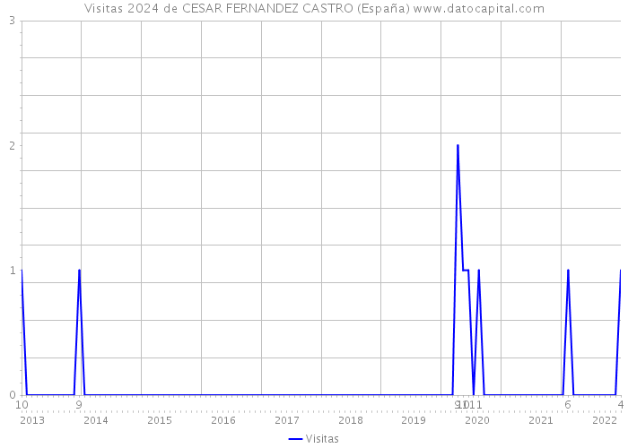 Visitas 2024 de CESAR FERNANDEZ CASTRO (España) 