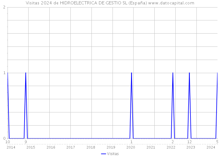 Visitas 2024 de HIDROELECTRICA DE GESTIO SL (España) 