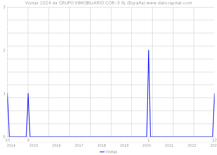 Visitas 2024 de GRUPO INMOBILIARIO COR-3 SL (España) 