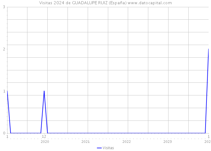 Visitas 2024 de GUADALUPE RUIZ (España) 