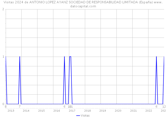 Visitas 2024 de ANTONIO LOPEZ AYANZ SOCIEDAD DE RESPONSABILIDAD LIMITADA (España) 