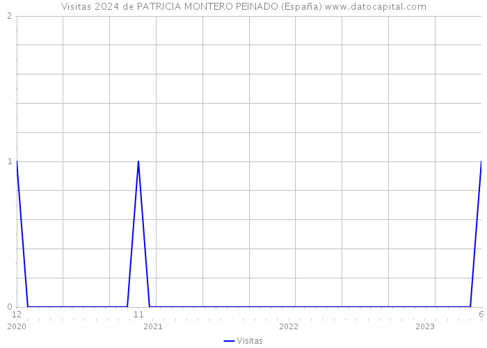 Visitas 2024 de PATRICIA MONTERO PEINADO (España) 