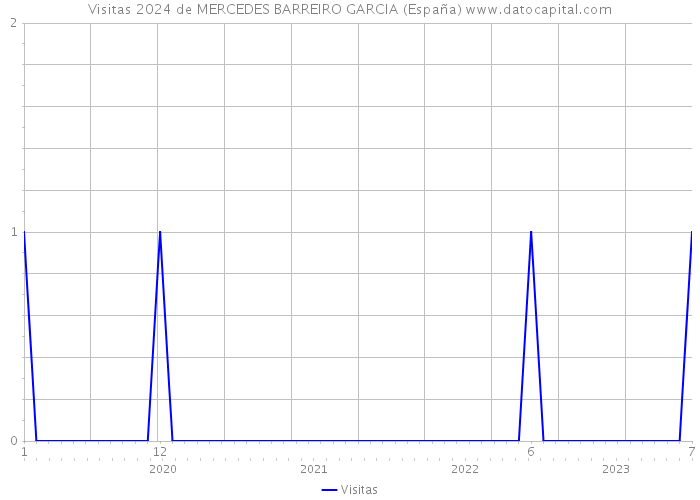 Visitas 2024 de MERCEDES BARREIRO GARCIA (España) 