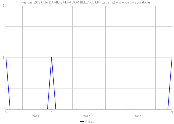 Visitas 2024 de DAVID SALVADOR BELENGUER (España) 