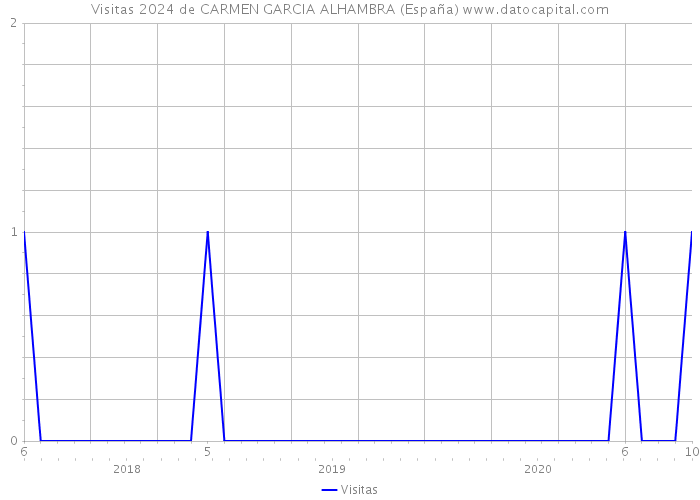 Visitas 2024 de CARMEN GARCIA ALHAMBRA (España) 