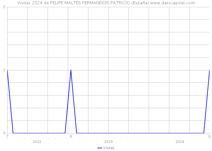 Visitas 2024 de FELIPE MALTES FERMANDOIS PATRICIO (España) 