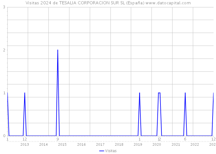 Visitas 2024 de TESALIA CORPORACION SUR SL (España) 