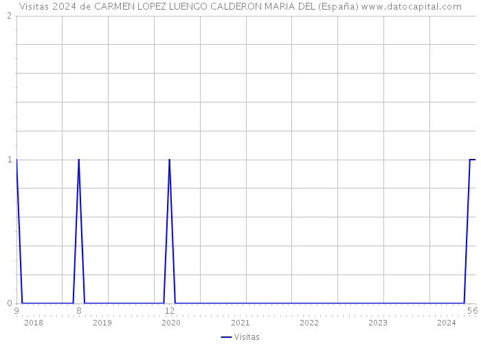 Visitas 2024 de CARMEN LOPEZ LUENGO CALDERON MARIA DEL (España) 