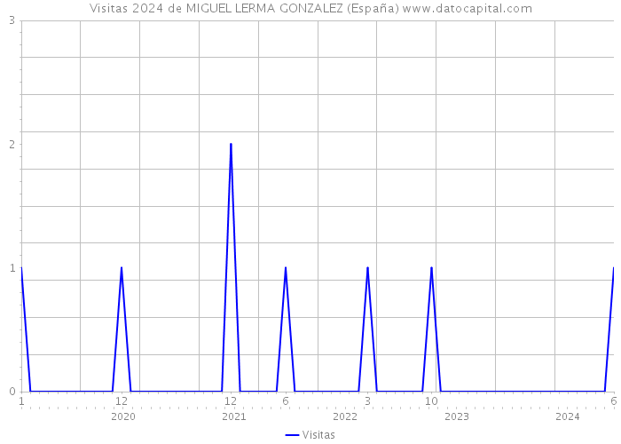 Visitas 2024 de MIGUEL LERMA GONZALEZ (España) 