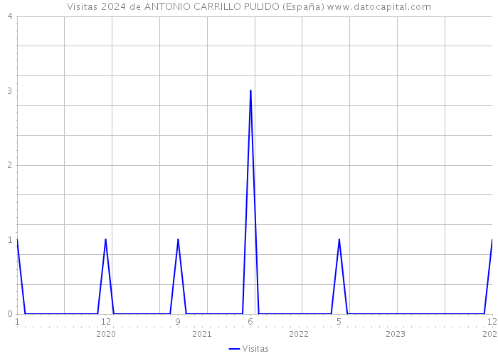 Visitas 2024 de ANTONIO CARRILLO PULIDO (España) 