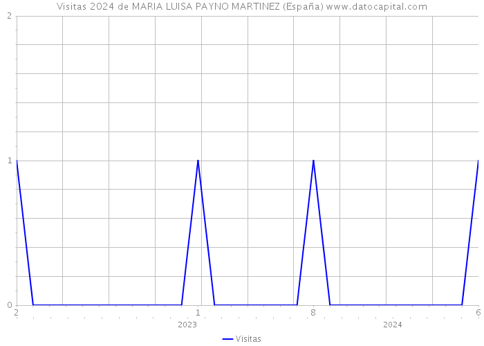 Visitas 2024 de MARIA LUISA PAYNO MARTINEZ (España) 