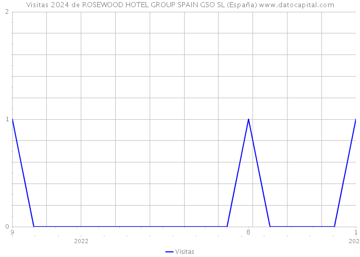 Visitas 2024 de ROSEWOOD HOTEL GROUP SPAIN GSO SL (España) 